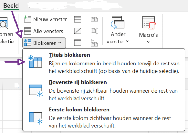 Screenshot van het lint Beeld waarbij Blokkeren is opengeklapt.