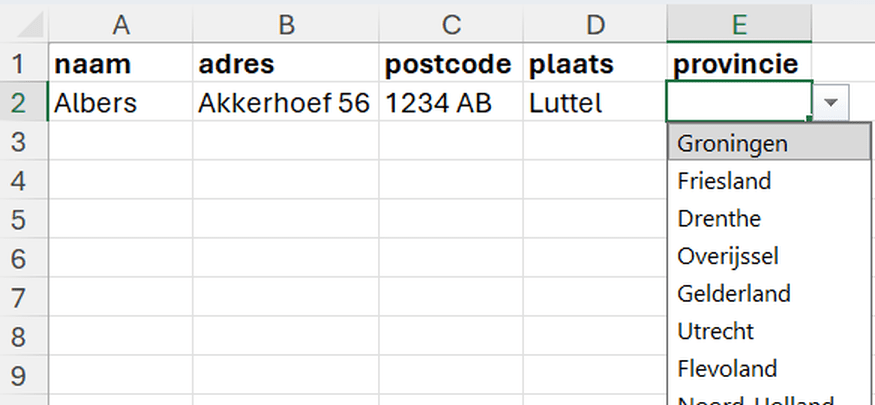 de keuzelijst zoals deze in Excel staat.